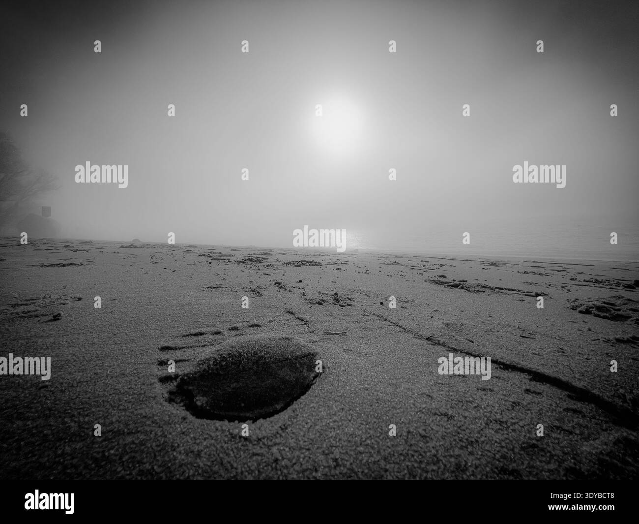 Une scène de plage sereine avec des rochers et l'océan en arrière-plan. Banque D'Images