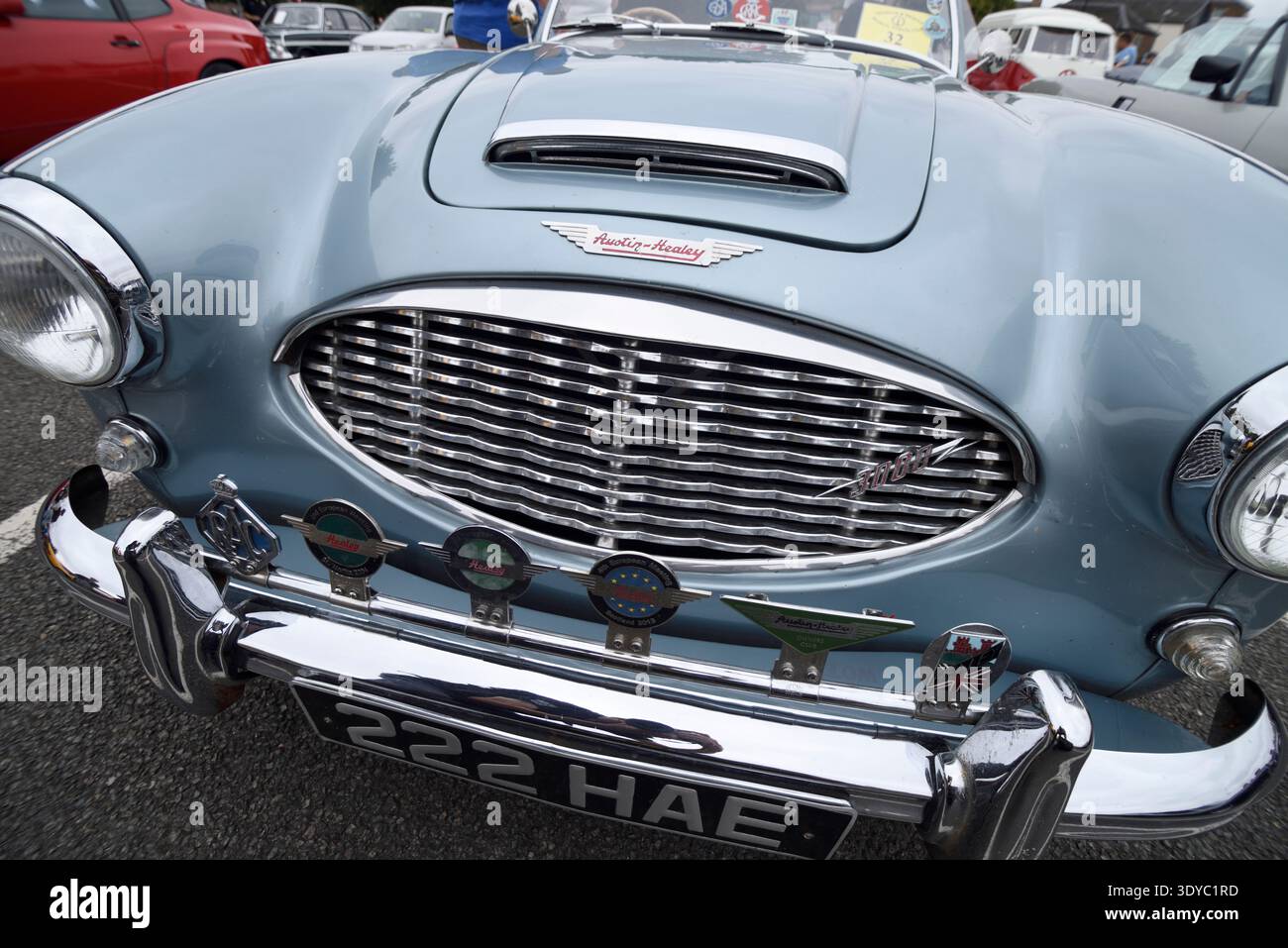 Wisbech & District Historic Vehicle Club affiche Austin Healey Banque D'Images