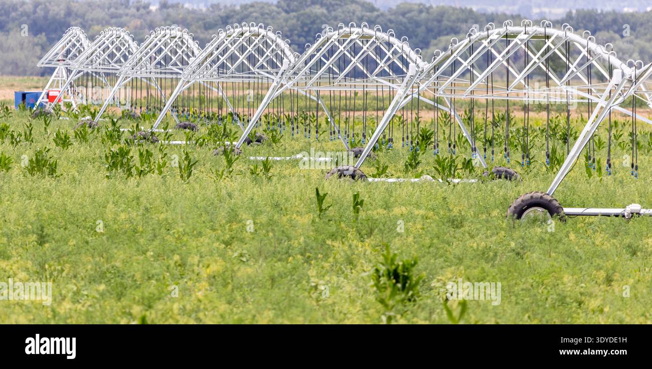 Système commercial d'arrosage des plantes, station d'irrigation blanche dans le champ Banque D'Images