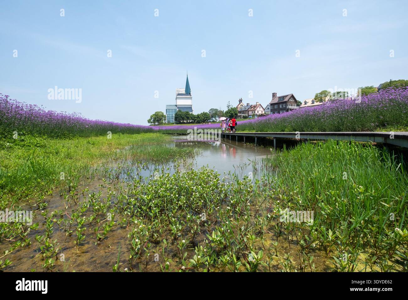 Une vue en bas angle capturant une prairie en fleurs au premier plan avec des bâtiments de villégiature de style européen visibles au loin à travers un plan d'eau. Banque D'Images