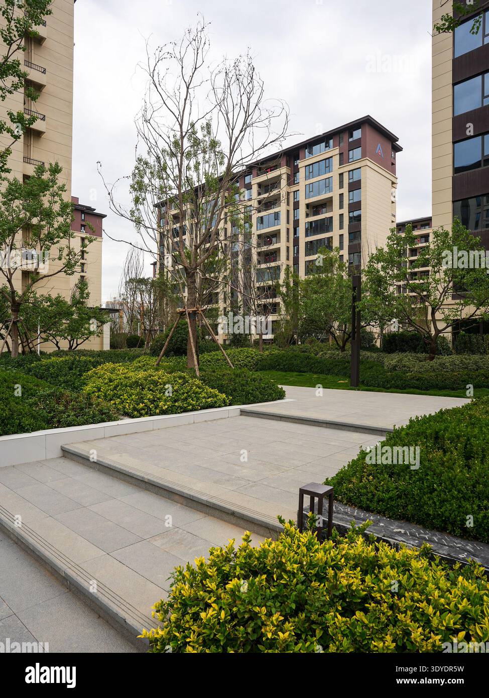 Une place en pierre propre serpentant à travers un jardin résidentiel paysager avec des marches en pierre et des plantes vibrantes. L'image transmet l'ordre, la nature connexion, p Banque D'Images