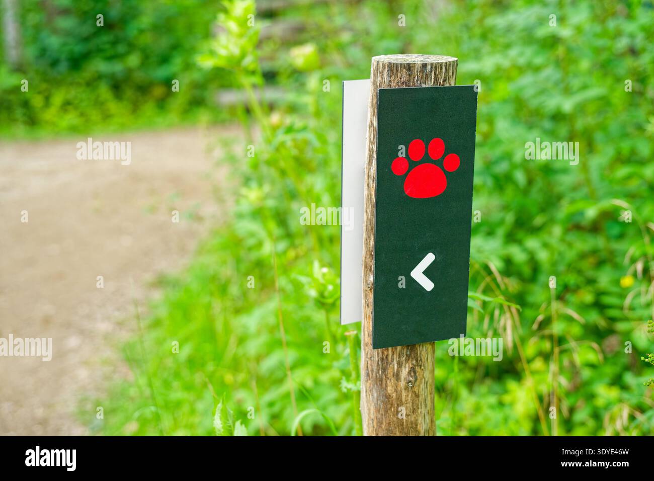 Un panneau de signalisation en bois présente un imprimé de pattes rouges et une flèche blanche pointant vers la gauche, entouré d'un feuillage vert luxuriant et d'un chemin de terre en arrière-plan. Banque D'Images