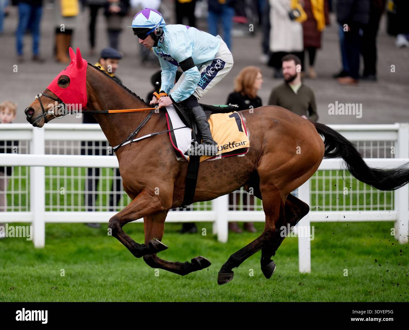 Fingle Bridge, monté par Gavin Sheehan qui va se placer devant la barrière de handicap de la Coupe impériale Betfair à l'hippodrome de Sandown Park. Date de la photo : samedi 7 mars 2026. Banque D'Images