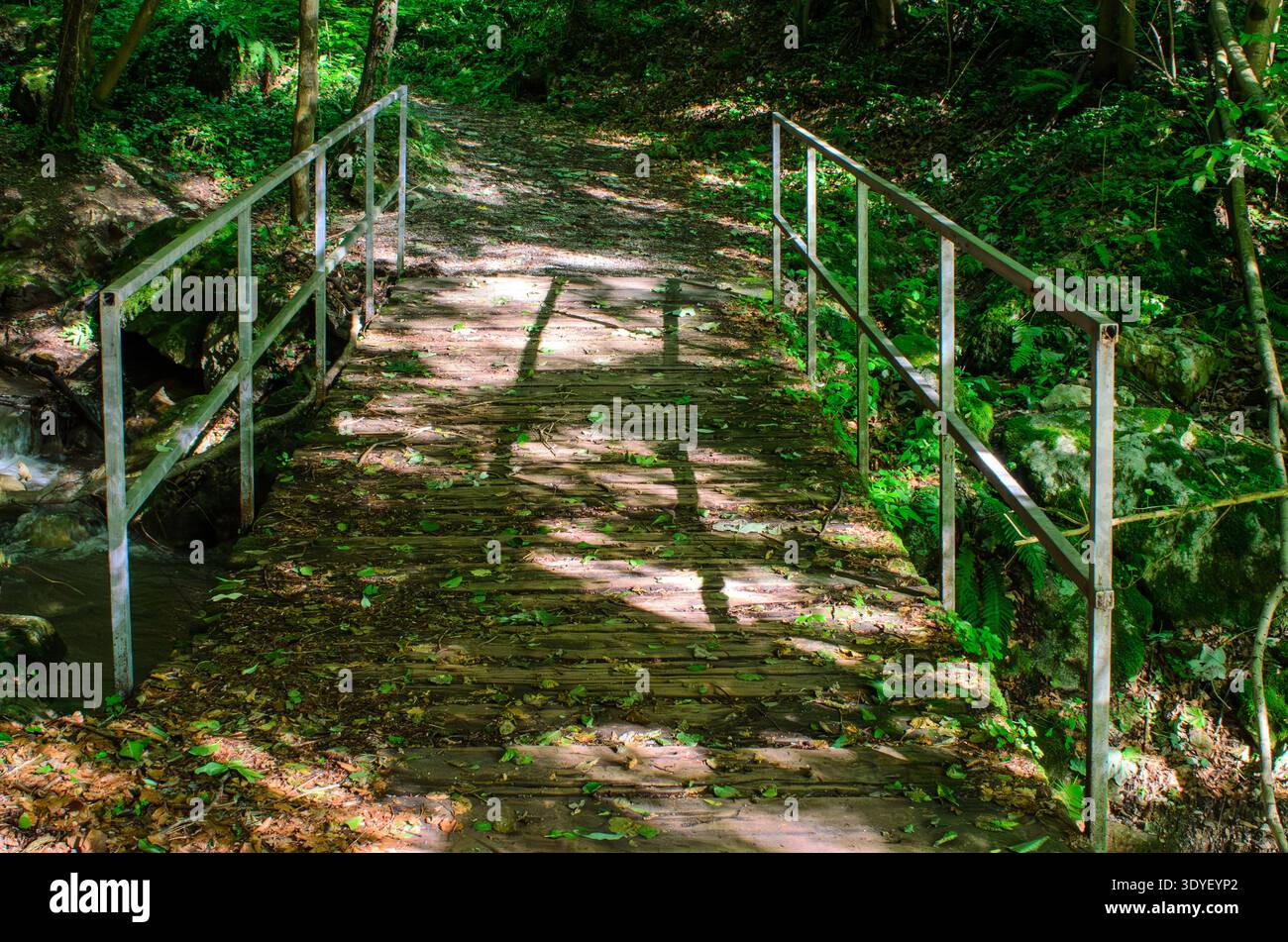 Passerelle en bois avec garde-corps en métal dans une forêt verdoyante, lumière du soleil tapissée sur le chemin, petit ruisseau à côté du sentier, promenade tranquille de la nature Banque D'Images