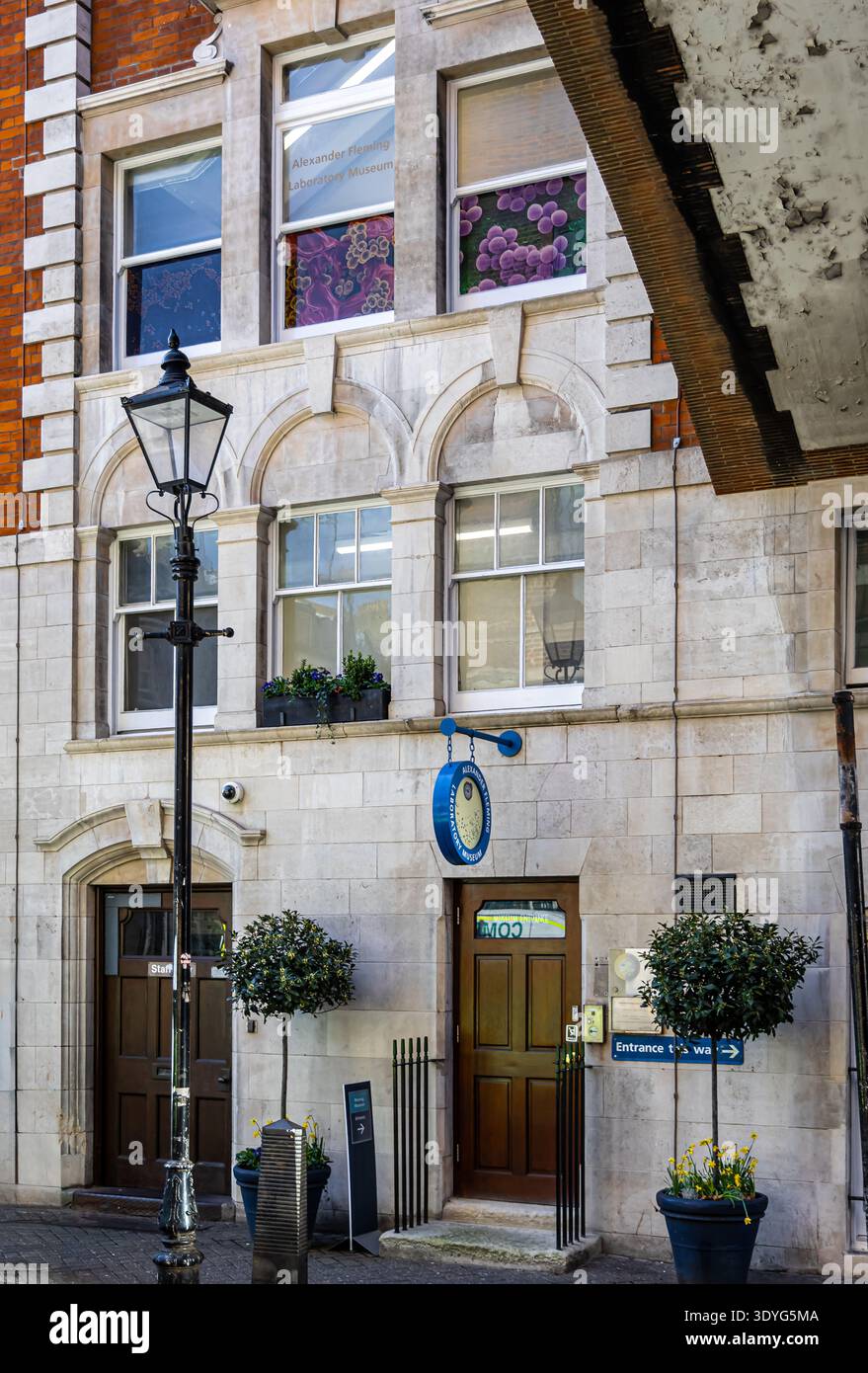 Vue rapprochée de l'enseigne Alexander Fleming Laboratory Museum montée sur la façade d'un bâtiment londonien avec des détails architecturaux classiques ; idéal pour les salutations médicales Banque D'Images