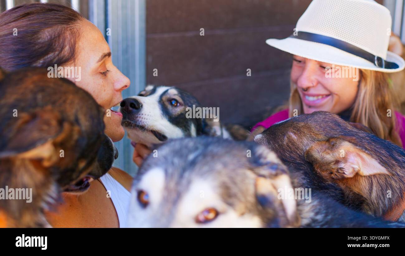 Les femmes interagissant avec les chiens montrant de l'affection et des soins Banque D'Images