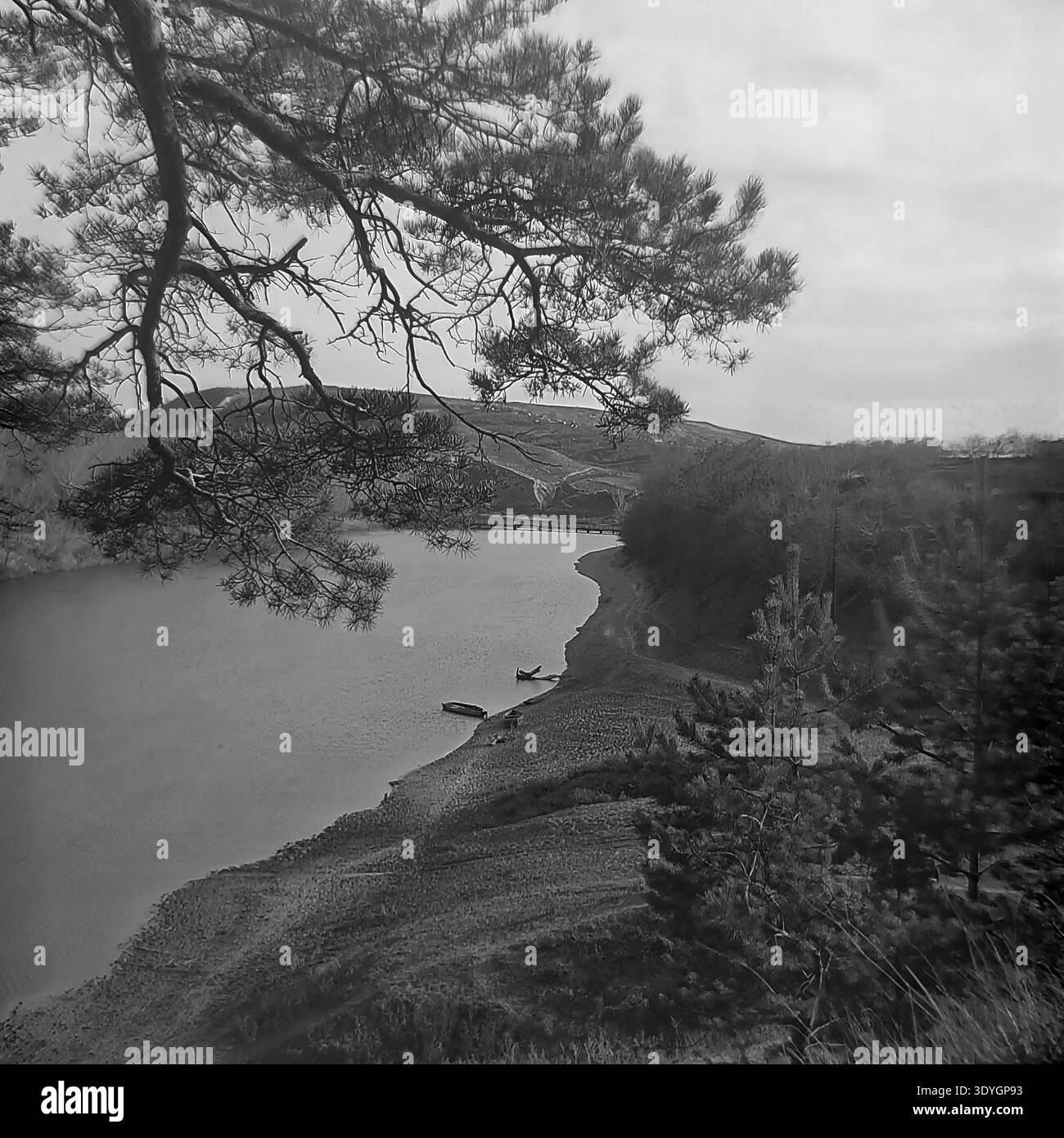 Photographie vintage en noir et blanc montrant une scène extérieure spectaculaire où un pin massif et majestueux se penche fortement sur une rivière sereine et sinueuse depuis une haute rive accidentée. Le vaste paysage automnal présente de petits bateaux en bois amarrés sur le rivage et des bois denses bordant la vallée lointaine. Cette composition naturelle époustouflante capture brillamment la nature sauvage et l'environnement brut du milieu du XXe siècle. Une image d'archives évocatrice incarnant parfaitement la beauté scénique d'un Donbass paisible avant la guerre. Banque D'Images