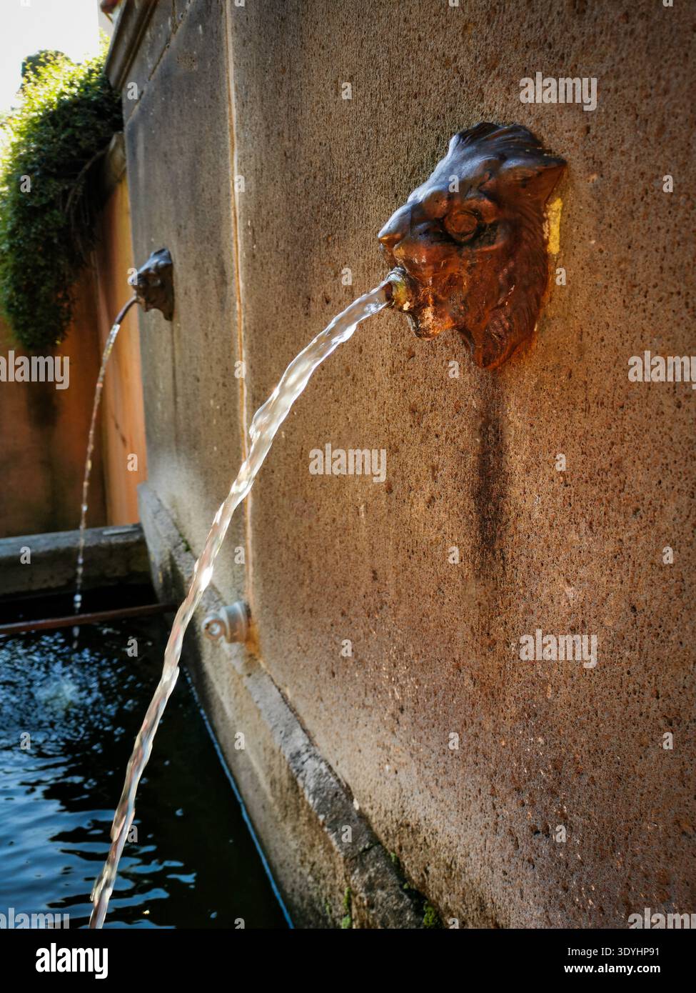 L'eau coule de deux sculptures à tête de lion montées sur un mur de pierre altérée. L'eau tombe en cascade dans une piscine sombre en contrebas. - Image de stock capturée avec un smartphone