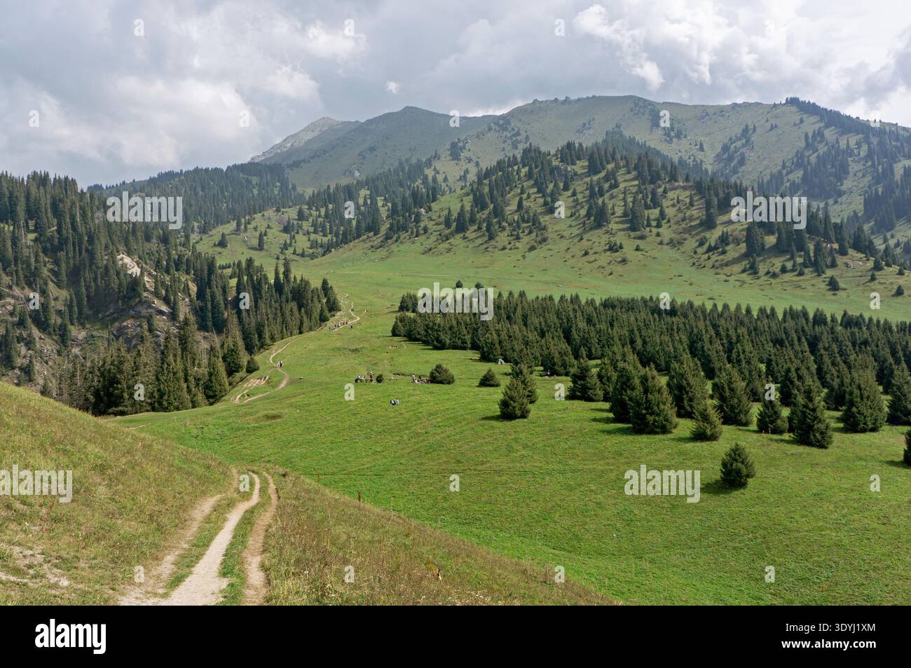 Des prairies alpines verdoyantes et de denses forêts à feuilles persistantes qui tapissent les contreforts vallonnés des montagnes TRANS-Ili Alatau près d'Almaty, au Kazakhstan Banque D'Images