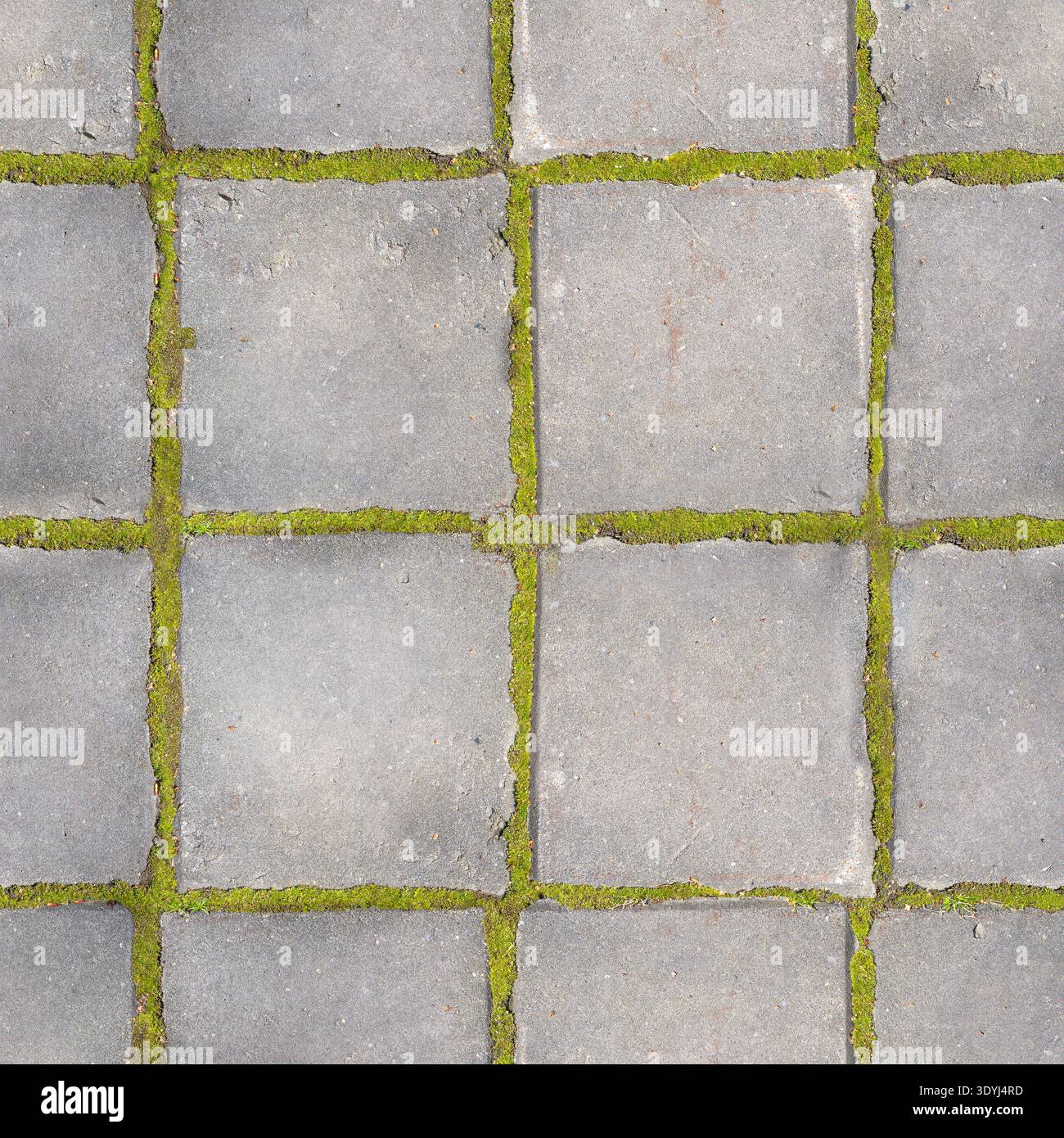 Fond de texture de motif de carreaux de pavage sans couture avec mousse verte dans les joints Banque D'Images