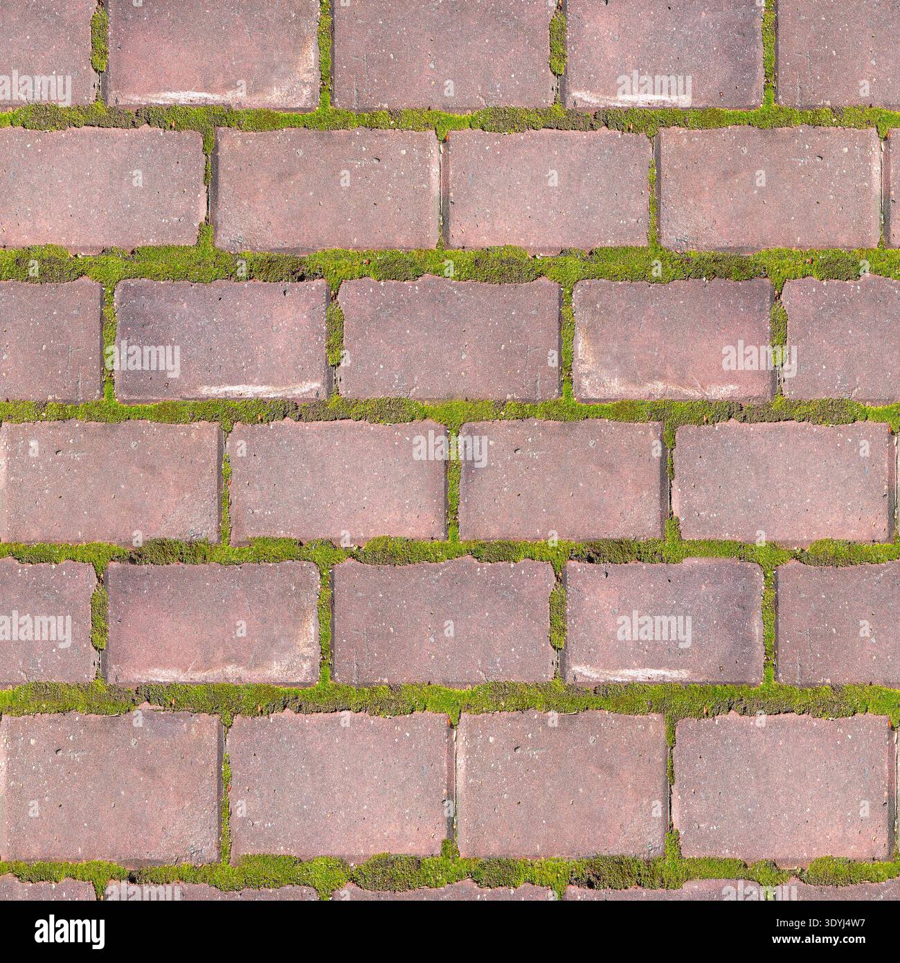 Fond de texture de motif de carreaux de pavage sans couture avec mousse verte dans les joints Banque D'Images
