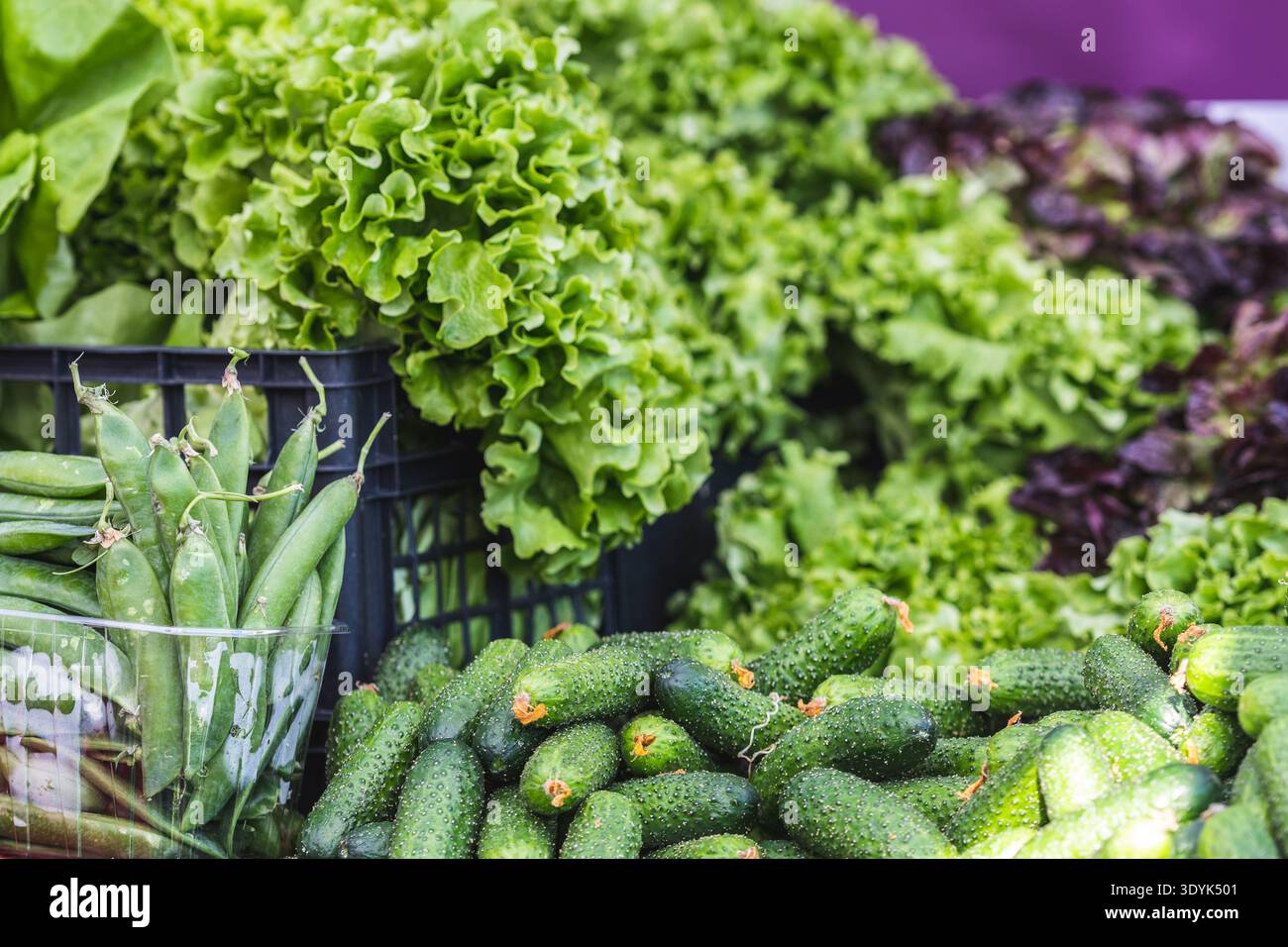 Différents types de légumes verts sur un comptoir dans un marché alimentaire de rue Banque D'Images