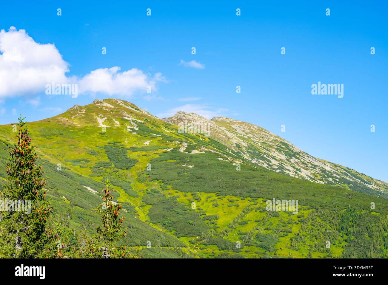 Profitez d'une vue imprenable sur la montagne Dumbier dans les basses Tatras de Slovaquie. Les pentes verdoyantes et le ciel bleu clair créent une toile de fond parfaite pour les aventures en plein air toute l'année. Banque D'Images