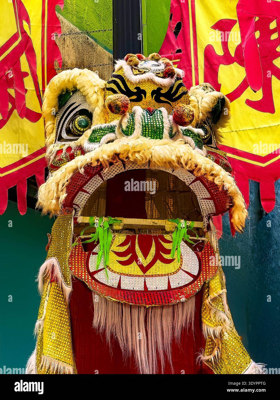 Costume de danse de dragon et de lion pour le festival du nouvel an chinois (festival Tet ) concept de fêtes et de célébrations. Banque D'Images