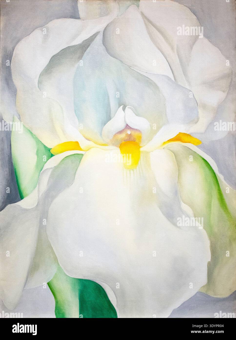 Georgia O'Keeffe b 1887 d 1986. Iris blanc n° 7, huile sur toile. Banque D'Images