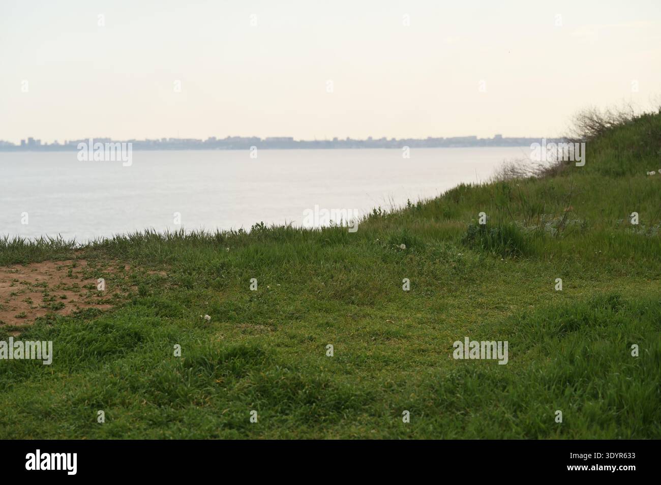 vue maritime tranquille avec de l'herbe de printemps fraîche et une ville lointaine sur la côte. Concept de beauté du paysage urbain, pureté de l'air et nature authentique e Banque D'Images