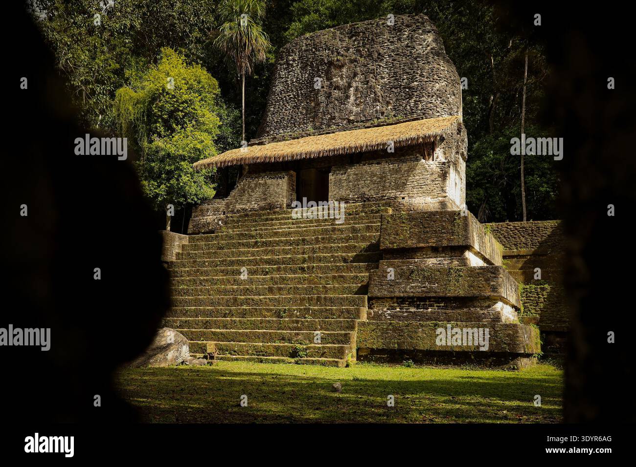 Ancienne structure de temple maya dans le parc national de Tikal entouré par la jungle tropicale, Guatemala. Banque D'Images