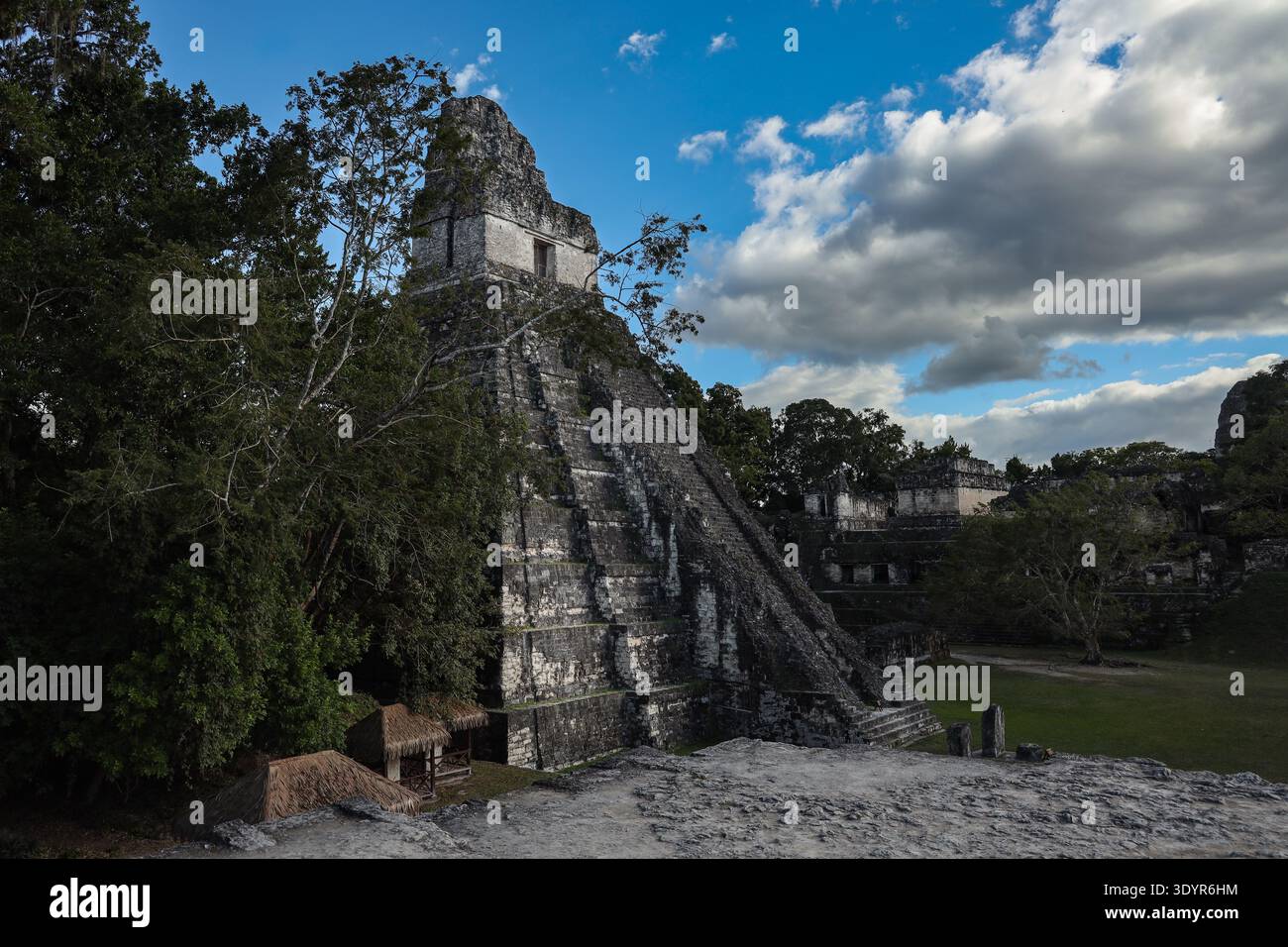 Ancien temple maya s'élevant au-dessus de la canopée de la jungle dans le parc national de Tikal, Guatemala. Banque D'Images