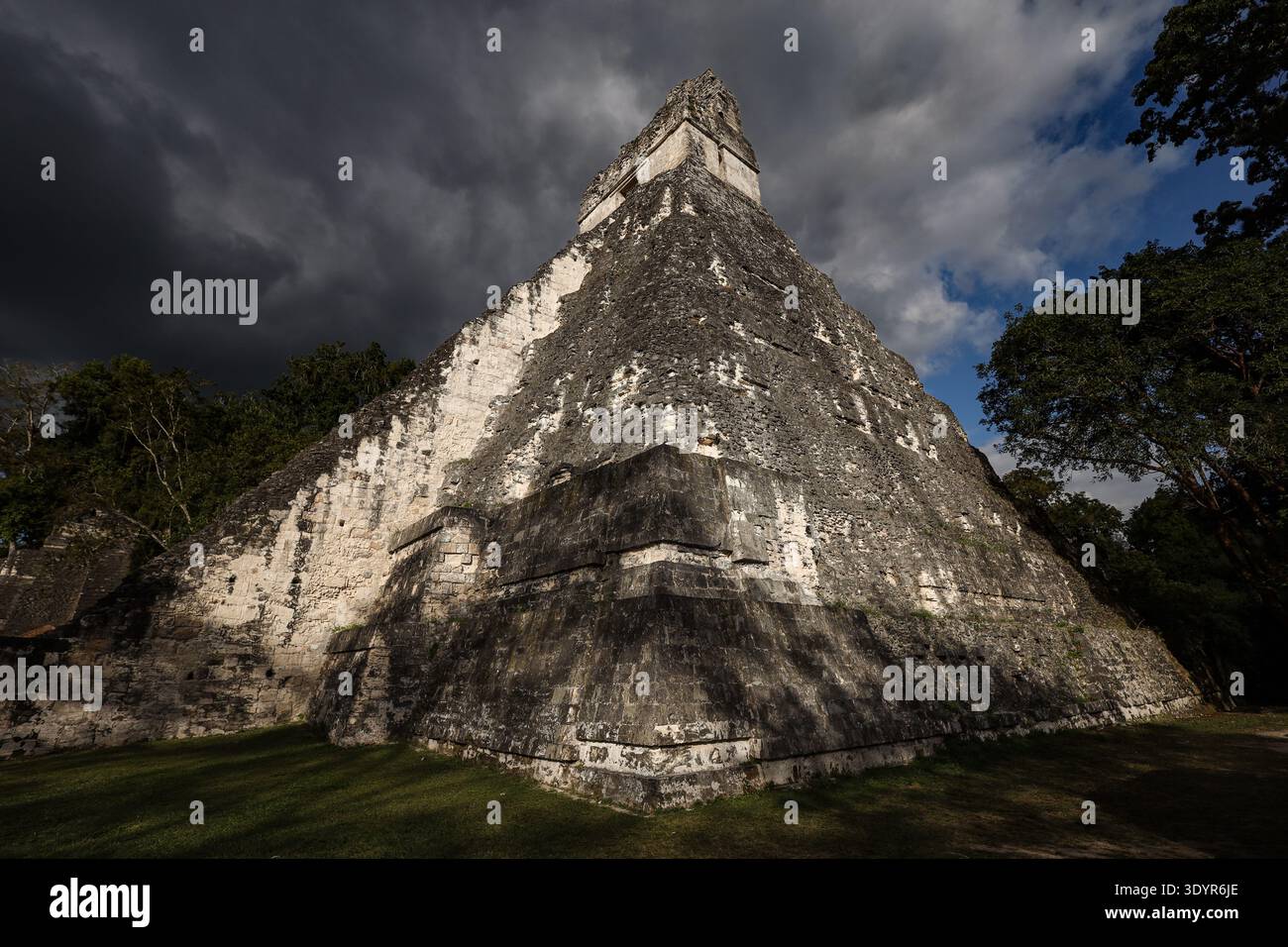 Ancien temple pyramidal maya entouré de jungle dans le parc national de Tikal, Guatemala. Banque D'Images