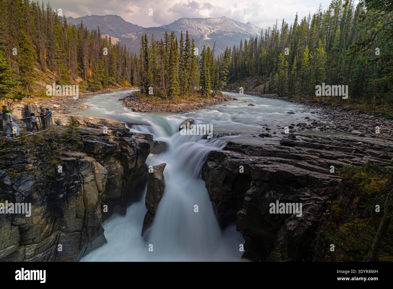 Sunwapta tombe le long de Icefields Parkway au Canada. Banque D'Images