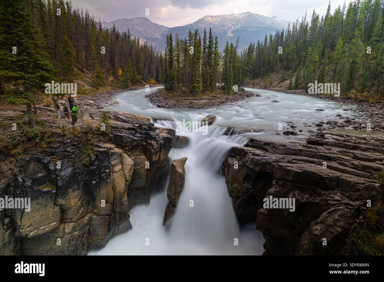Sunwapta tombe le long de Icefields Parkway au Canada. Banque D'Images