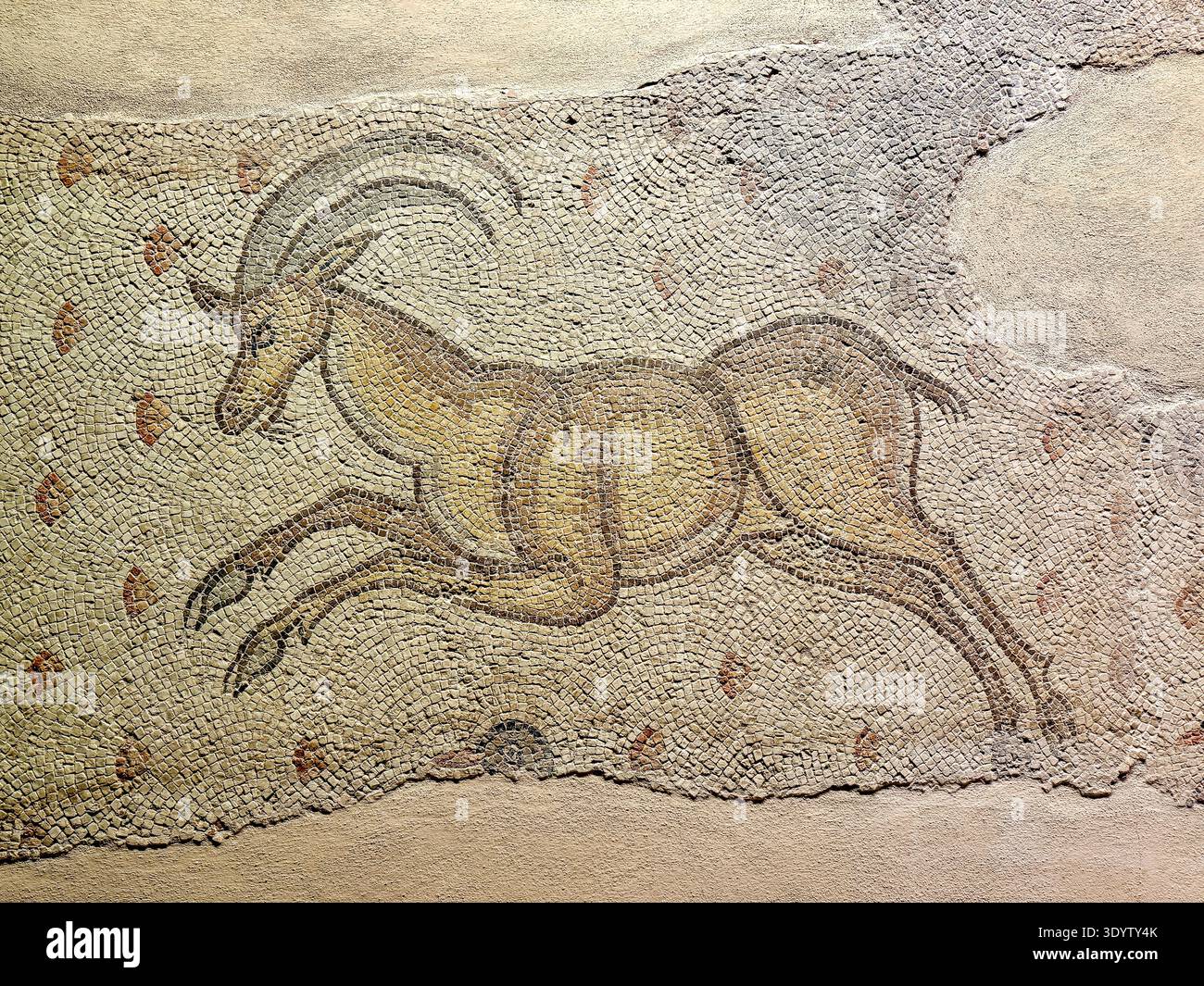 Mosaïque de cerfs romains de Zeugma représentant une chèvre de montagne en mouvement avec des cornes courbées. Actuellement exposé au Musée de la mosaïque Zeugma à Gaziantep, Turquie Banque D'Images