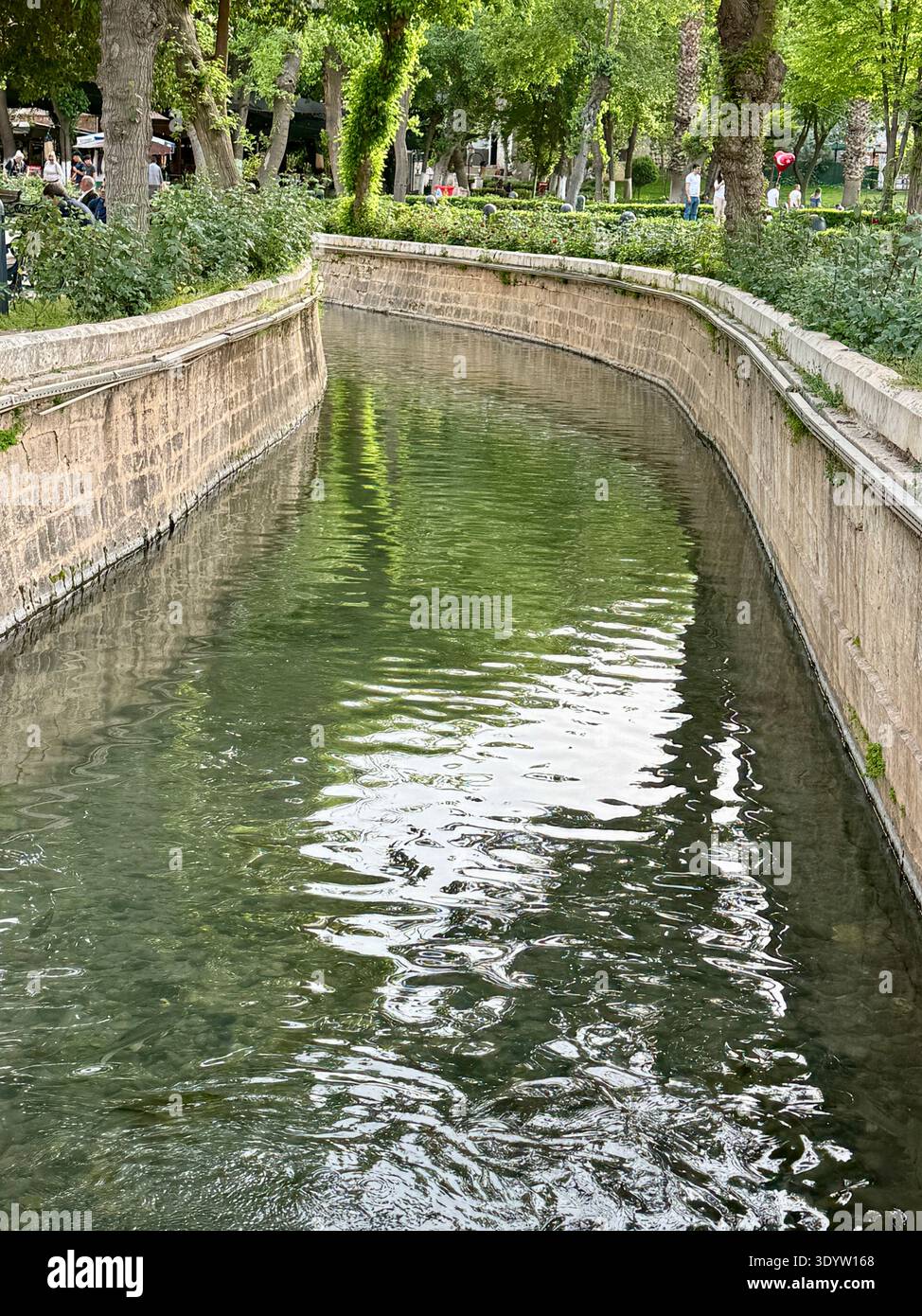 Balıklıgöl, Şanlıurfa : la piscine historique d'Abraham. Selon la légende, le feu s'est tourné vers l'eau et le bois pour pêcher pour sauver le prophète Abraham de Nimrod. Banque D'Images