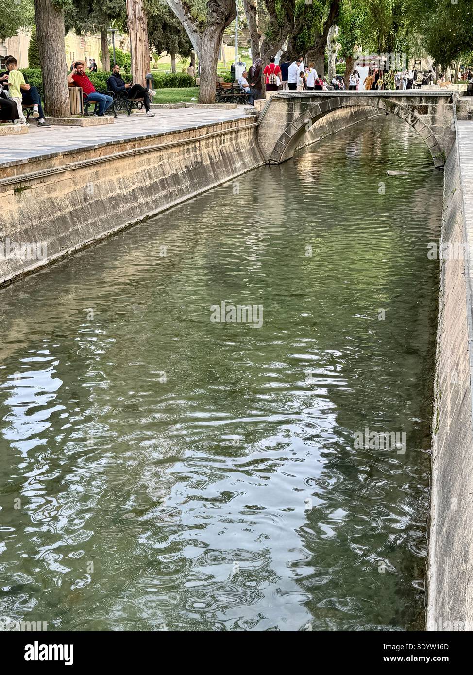Balıklıgöl, Şanlıurfa : la piscine historique d'Abraham. Selon la légende, le feu s'est tourné vers l'eau et le bois pour pêcher pour sauver le prophète Abraham de Nimrod. Banque D'Images