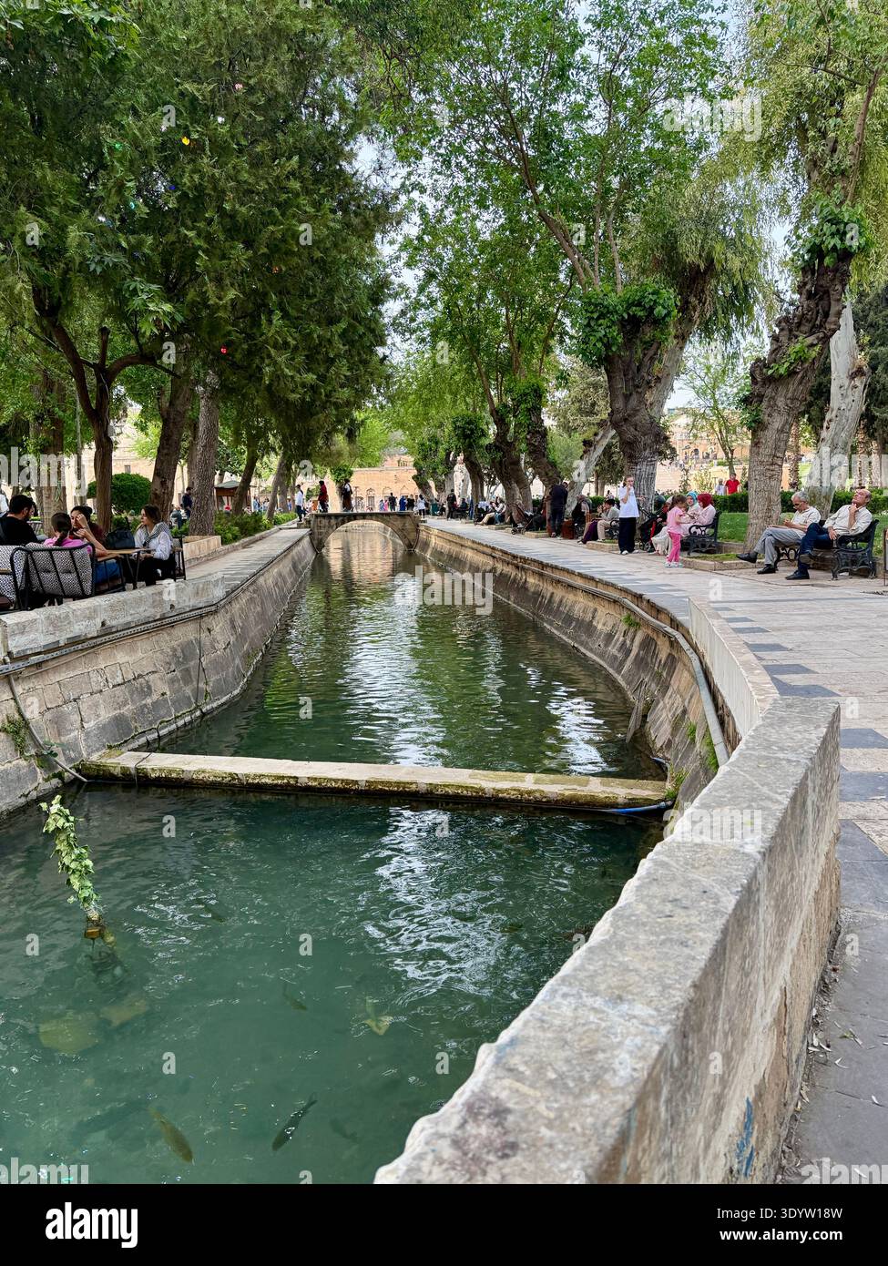 Balıklıgöl, Şanlıurfa : la piscine historique d'Abraham. Selon la légende, le feu s'est tourné vers l'eau et le bois pour pêcher pour sauver le prophète Abraham de Nimrod. Banque D'Images