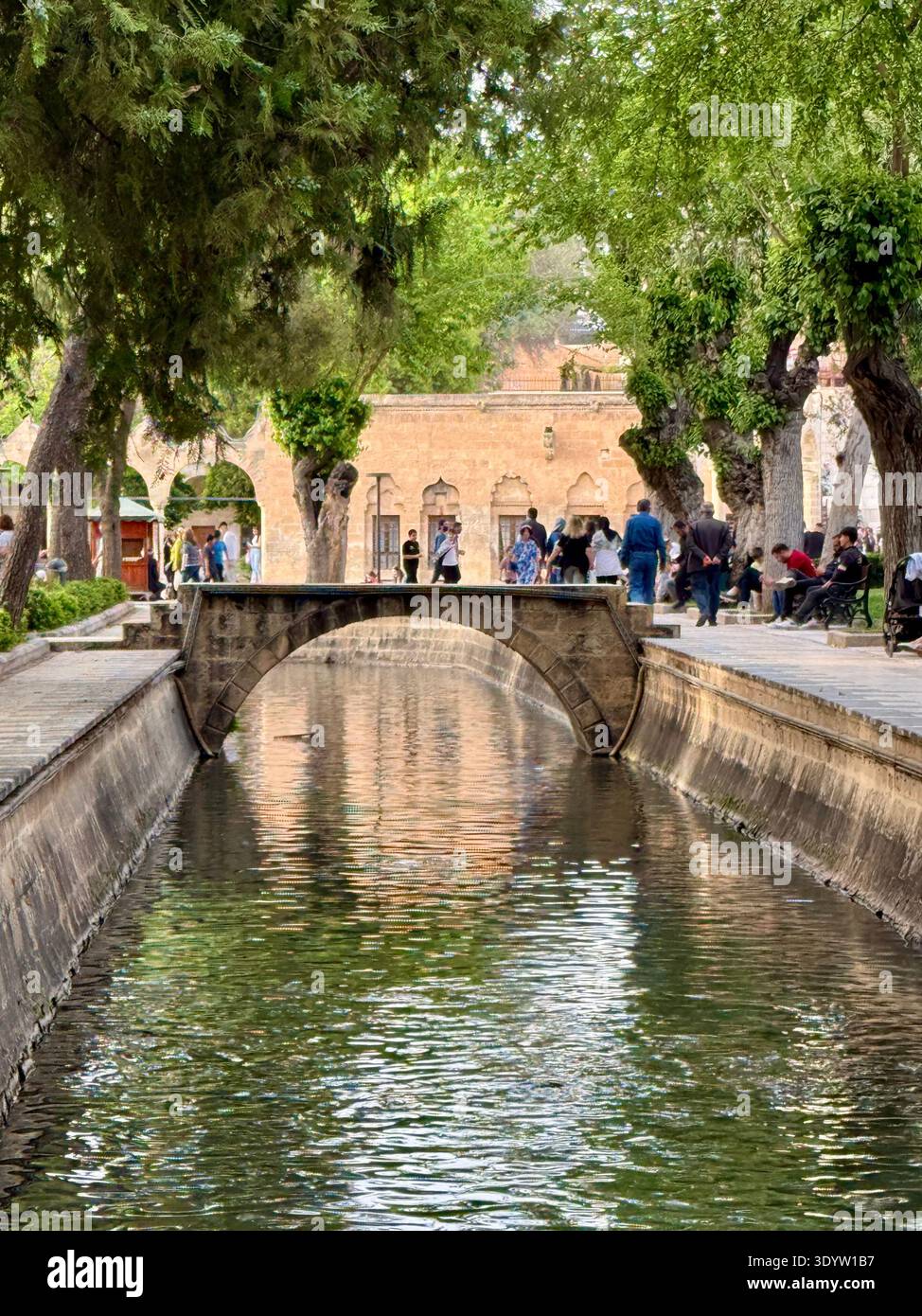 Balıklıgöl, Şanlıurfa : la piscine historique d'Abraham. Selon la légende, le feu s'est tourné vers l'eau et le bois pour pêcher pour sauver le prophète Abraham de Nimrod. Banque D'Images