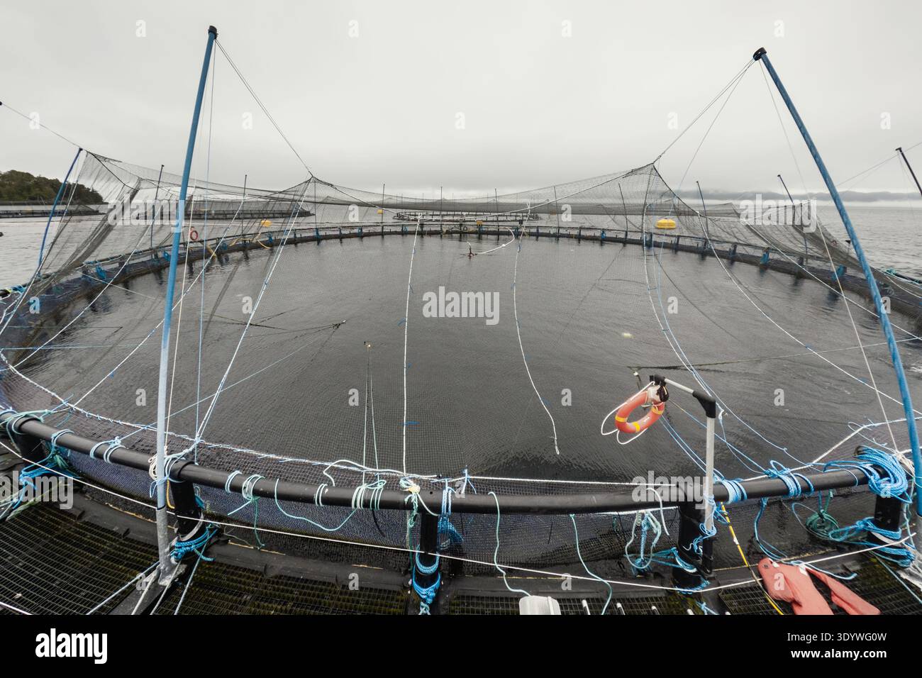 Grande ferme piscicole dans l'eau avec des filets sous le ciel nuageux comme plan d'angle de fond Banque D'Images