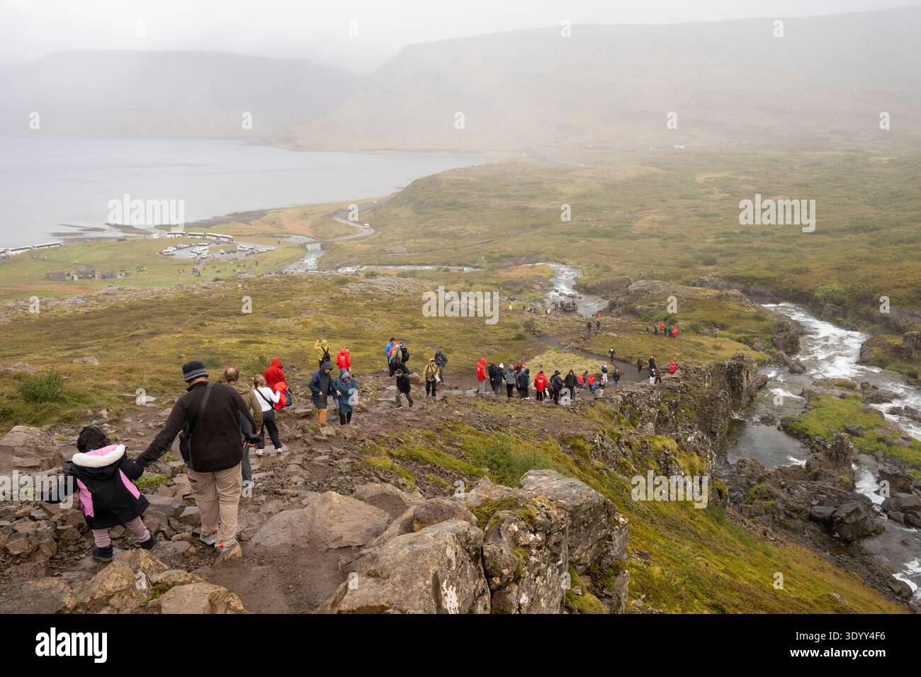 Les visiteurs marchent le long d'un chemin non pavé devant plusieurs cascades, Dynjandi Waterfall, Islande, Europe Banque D'Images