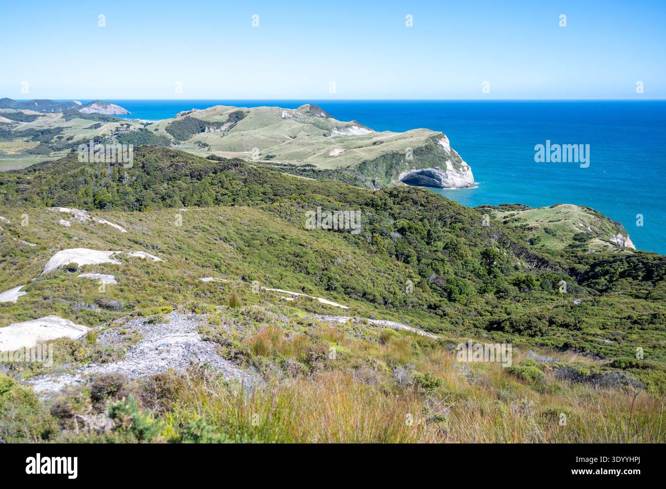 Vue depuis Pillar point Beacon, Tasman, Nouvelle-Zélande Banque D'Images