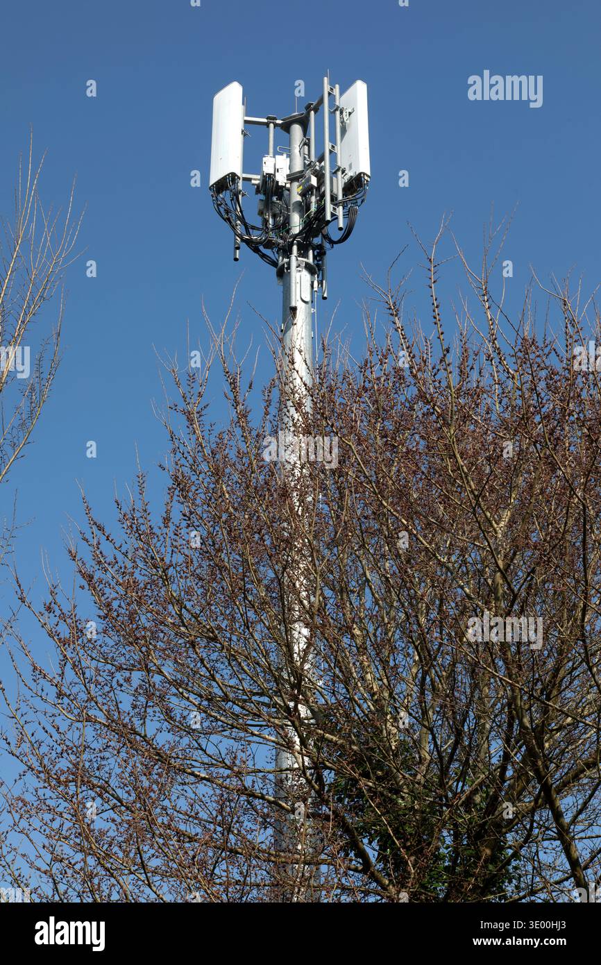Un mât de communication de téléphone portable contre un ciel bleu clair. Banque D'Images