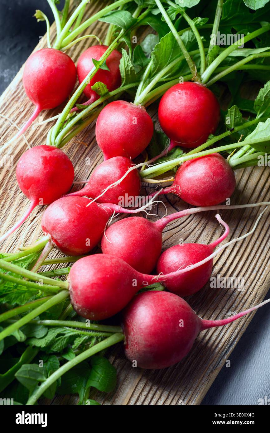 Bouquet de radis rouge avec dessus feuillus sur planche à découper en bois texturé. Des produits naturels pour des recettes saines et la photographie culinaire rustique Banque D'Images