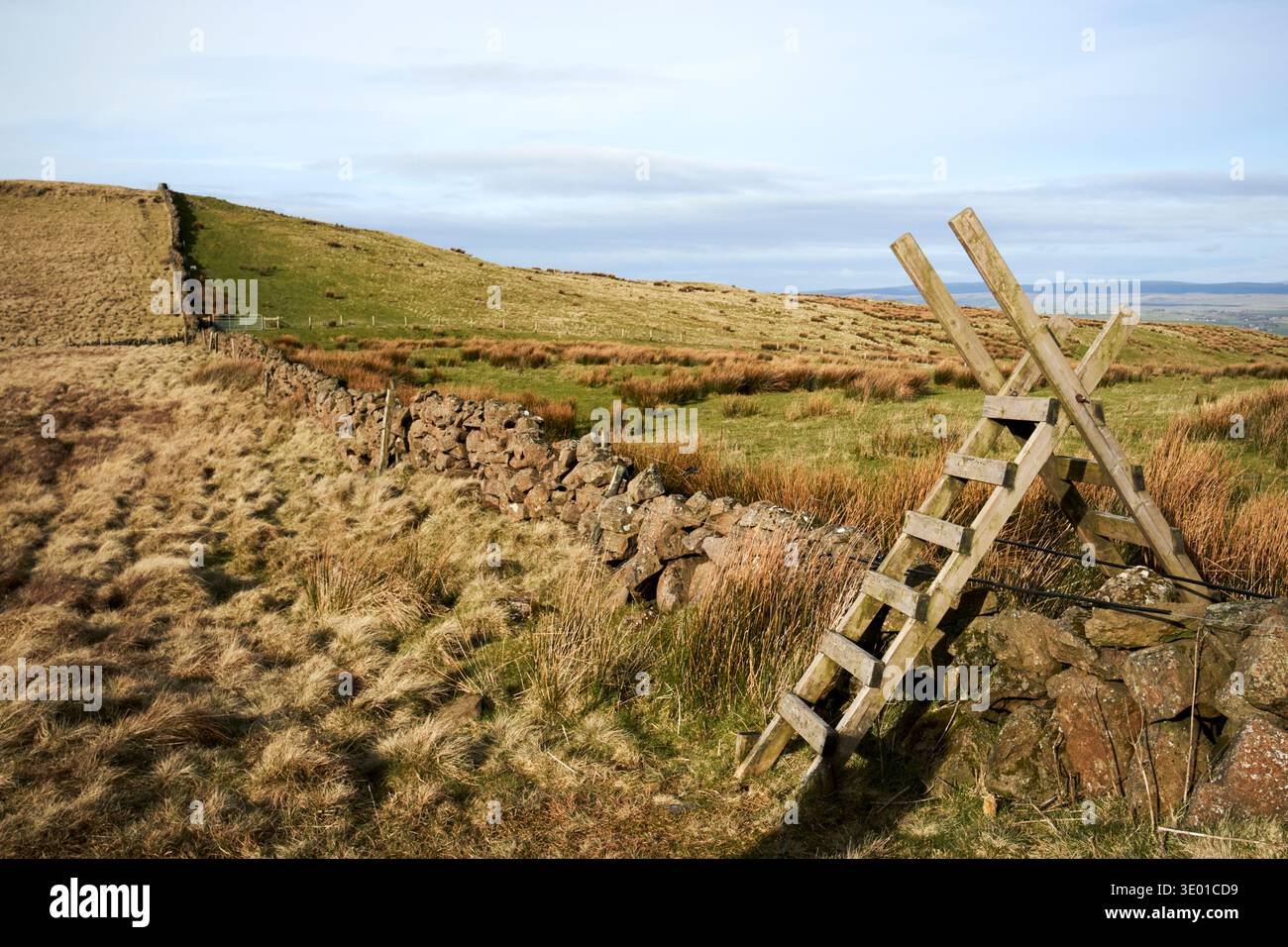 restez sur un mur de pierre sèche sallagh braes county antrim, irlande du nord royaume-uni partie de l'ulster way, antrim hills way et l'appalac international Banque D'Images