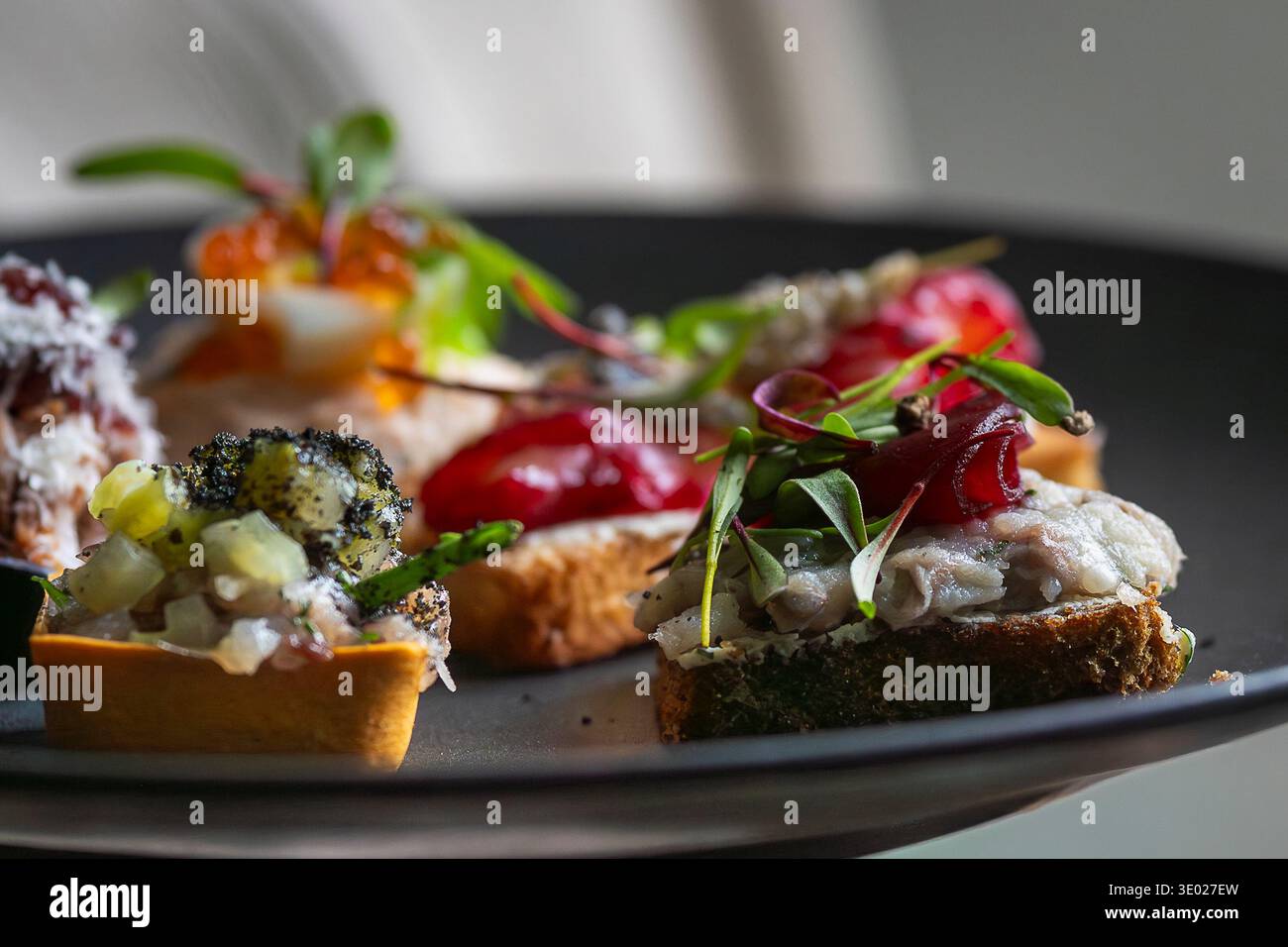 Assortiment gastronomique de canapés de style nordique avec hareng salé, betterave, tartare de poisson et microgreens servis dans une assiette noire. Hors-d'œuvre gastronomique. Banque D'Images