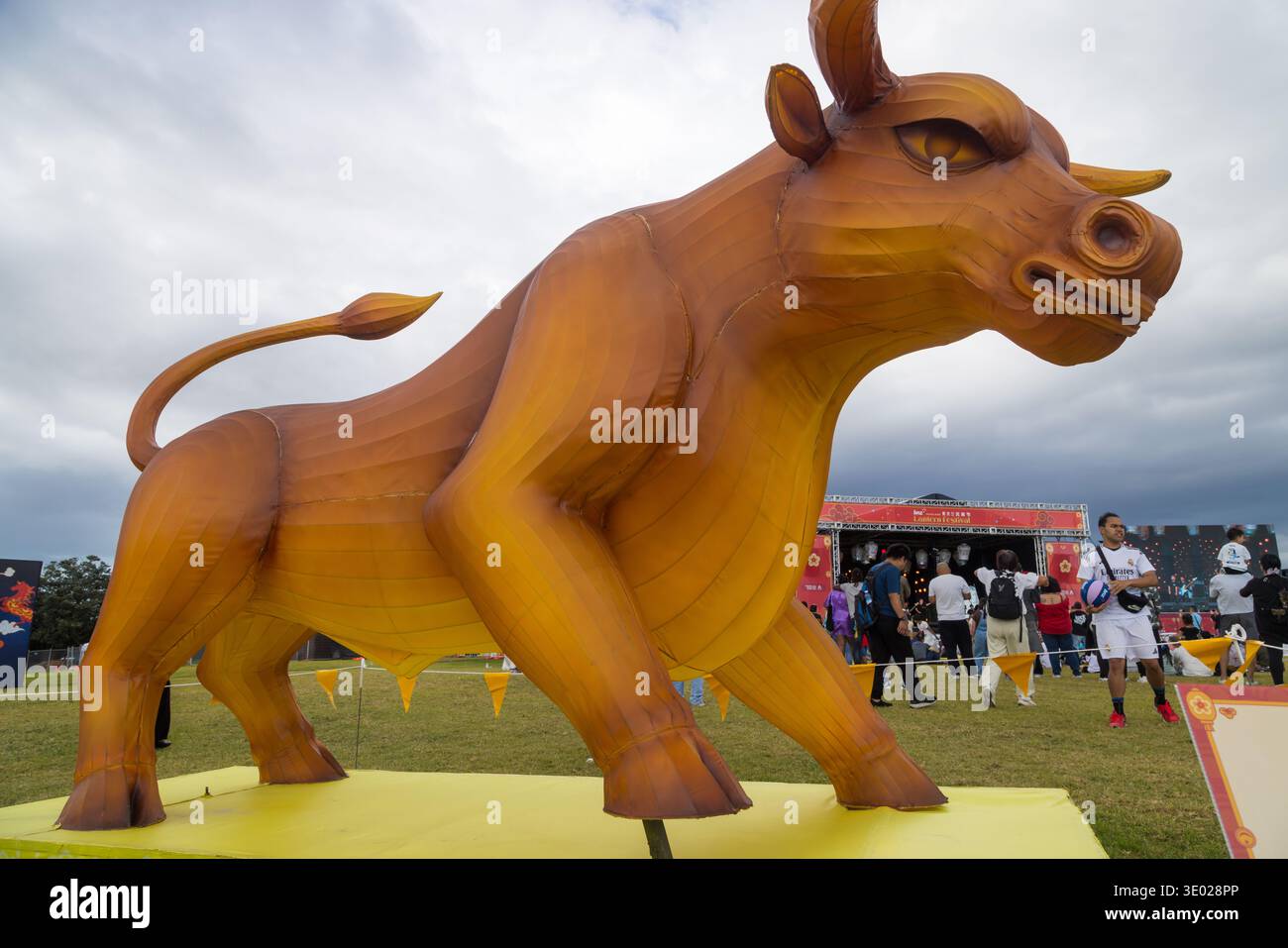 Une sculpture de lanterne « année du bœuf » exposée lors des célébrations du nouvel an chinois à Auckland, en Nouvelle-Zélande Banque D'Images