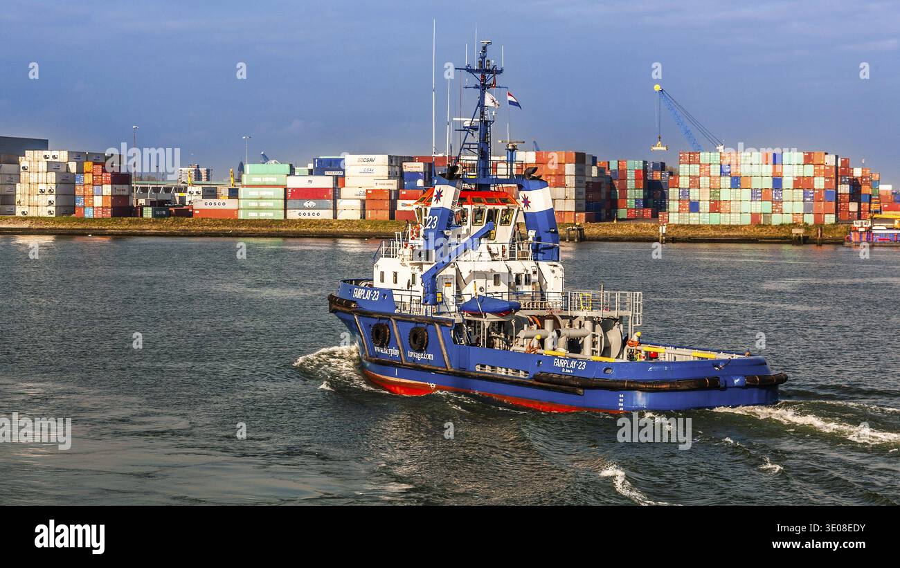 Port de Rotterdam, le plus grand port maritime d'Europe avec chargement de conteneurs sur la Maasvlakte, plaque tournante centrale pour le commerce européen, Rotterdam, pays-Bas Banque D'Images