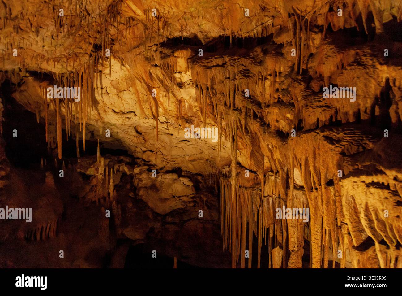 Célèbre grotte "Cuevas del Drach' (grotte de dragon) sur l'île espagnole de Majorque Banque D'Images