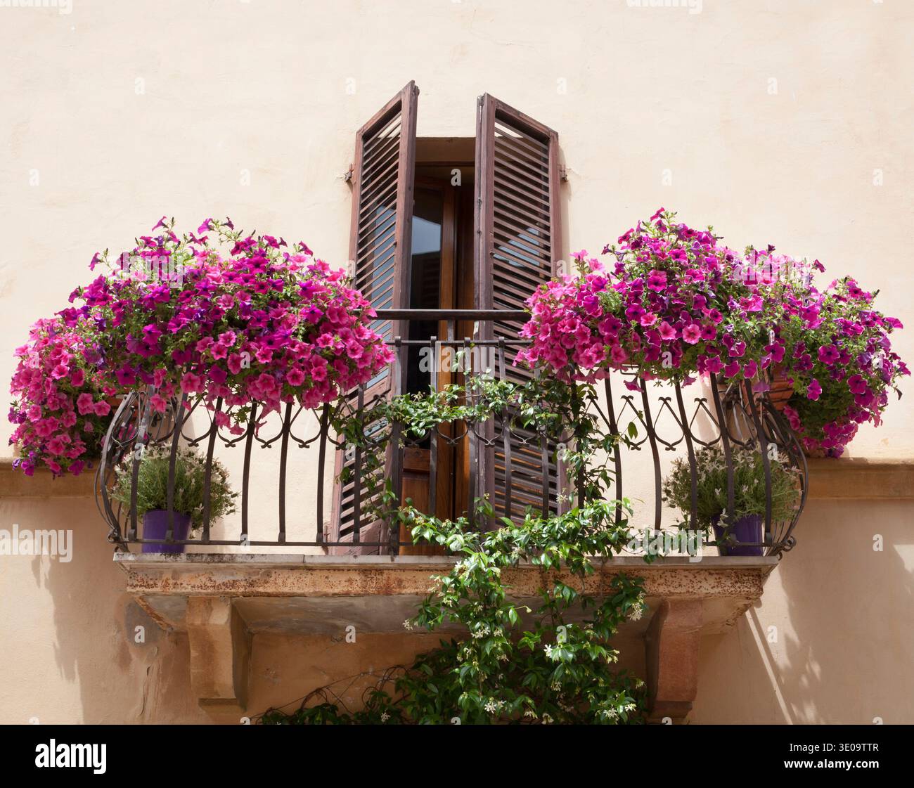 Fleurs sur un balcon à Pienza Toscane, Italie. Banque D'Images