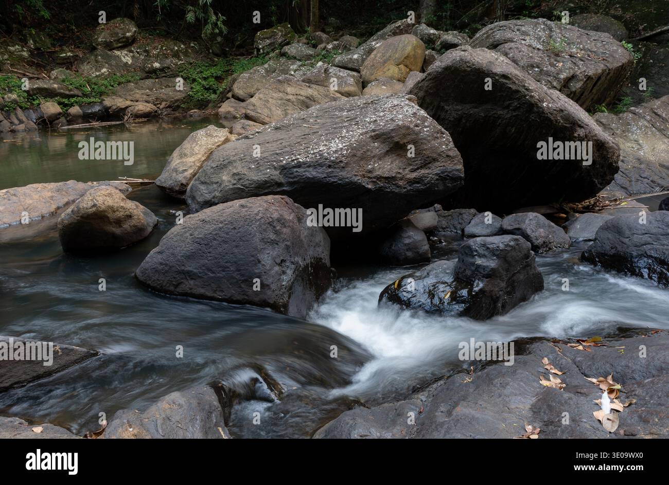 Cette image montre une cascade pittoresque située dans la forêt pluviale de Sinharaja au Sri Lanka. Banque D'Images