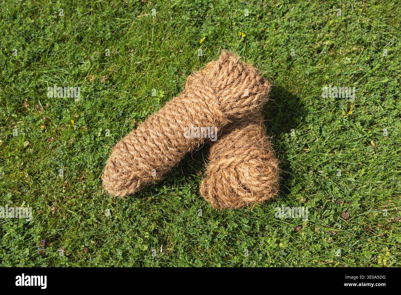 Deux cordes de noix de coco couchées sur la pelouse, le jardin, Banque D'Images
