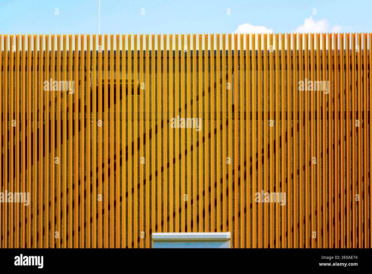 Lattes verticales jaune vif, façade Stadthalle Cham, motif géométrique rythmique, ciel bleu, Cham, Bavière, Allemagne Banque D'Images