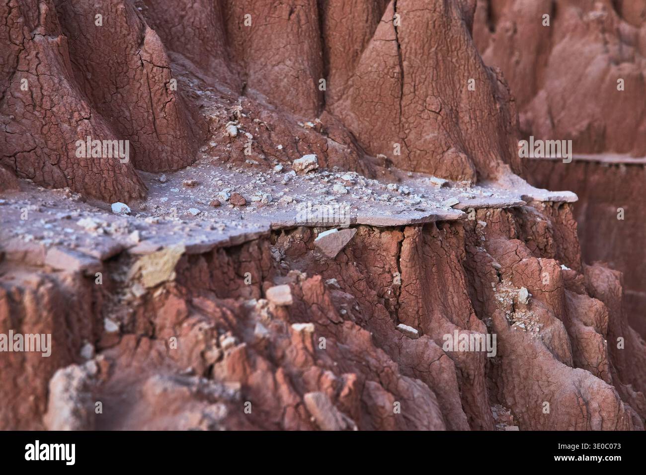Des formations argile érodées et des débris rocheux se rapprochent dans les Badlands désertiques accidentés Banque D'Images