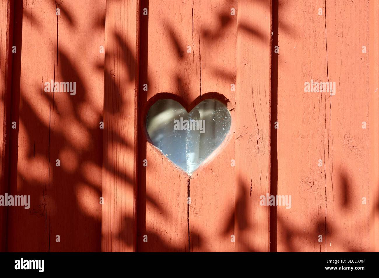 Fenêtre en forme de coeur dans un mur en bois rouge avec lumière du soleil et ombres. Gros plan d'une fenêtre en forme de coeur découpée dans un mur de bois rouge avec la lumière du soleil et la plante Banque D'Images