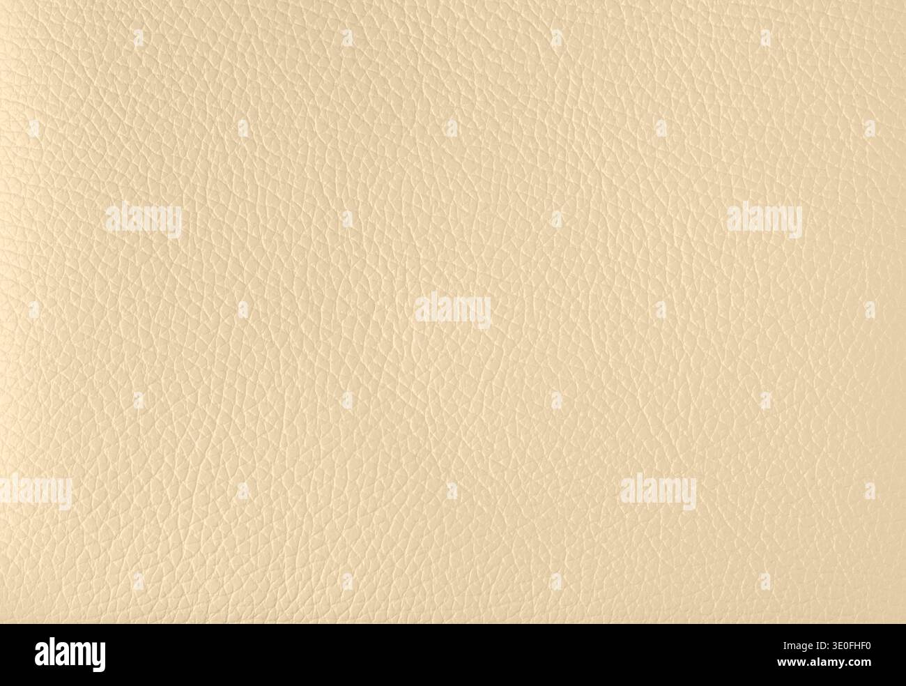 L'échantillon de cuir beige de couleur ecru . Arrière-plan abstrait avec espace de copie, vue de dessus Banque D'Images