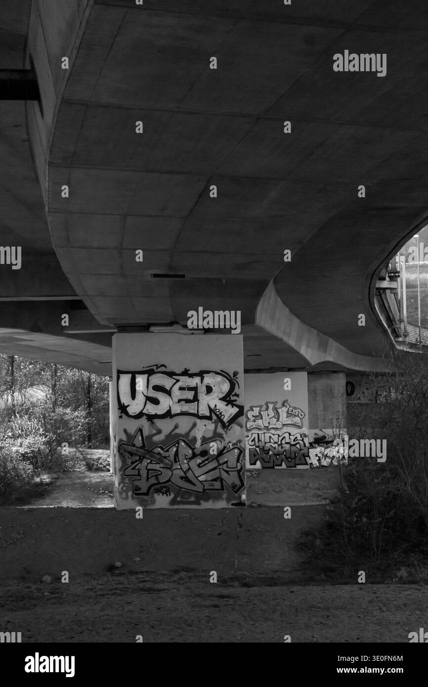 Piliers en béton recouverts de graffitis sous un pont routier sur la rivière Sihl dans le quartier Almend de Zurich, Suisse. Banque D'Images