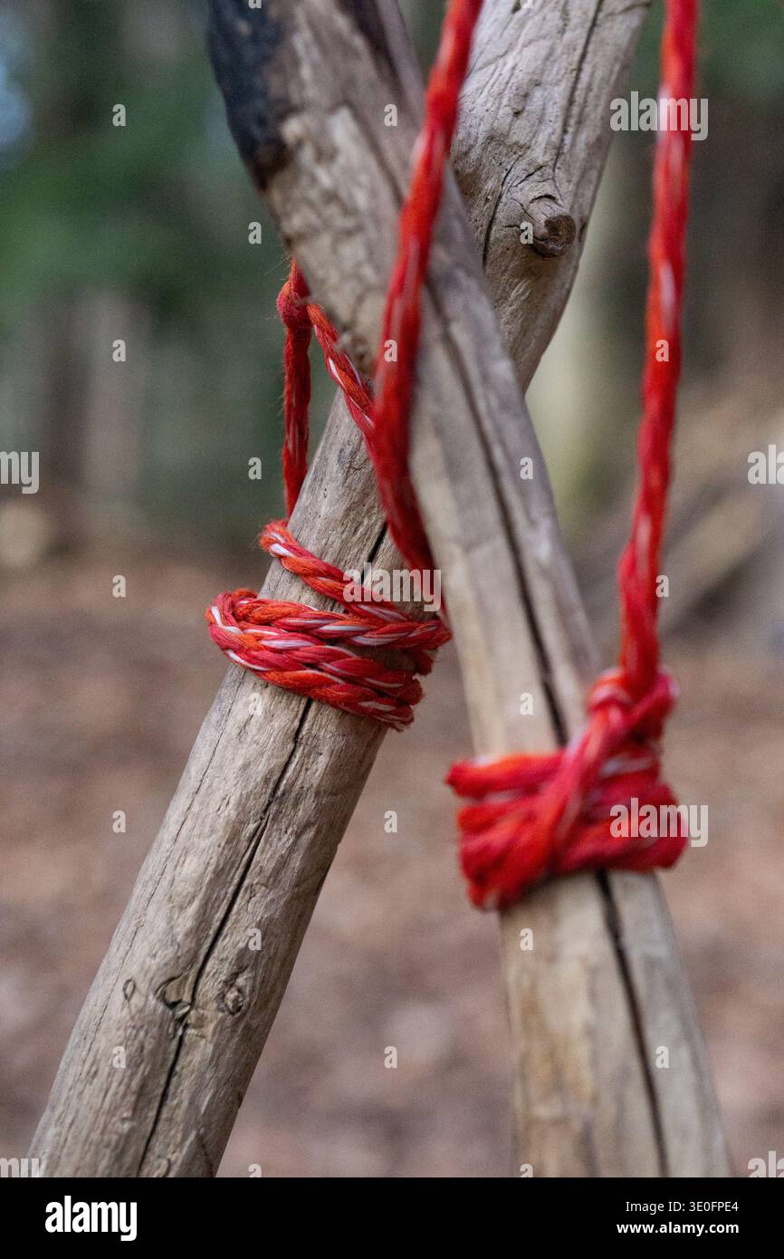 Corde rouge attachée autour des branches en bois formant une structure extérieure simple dans une forêt, détail en gros plan avec une faible profondeur de champ. Banque D'Images