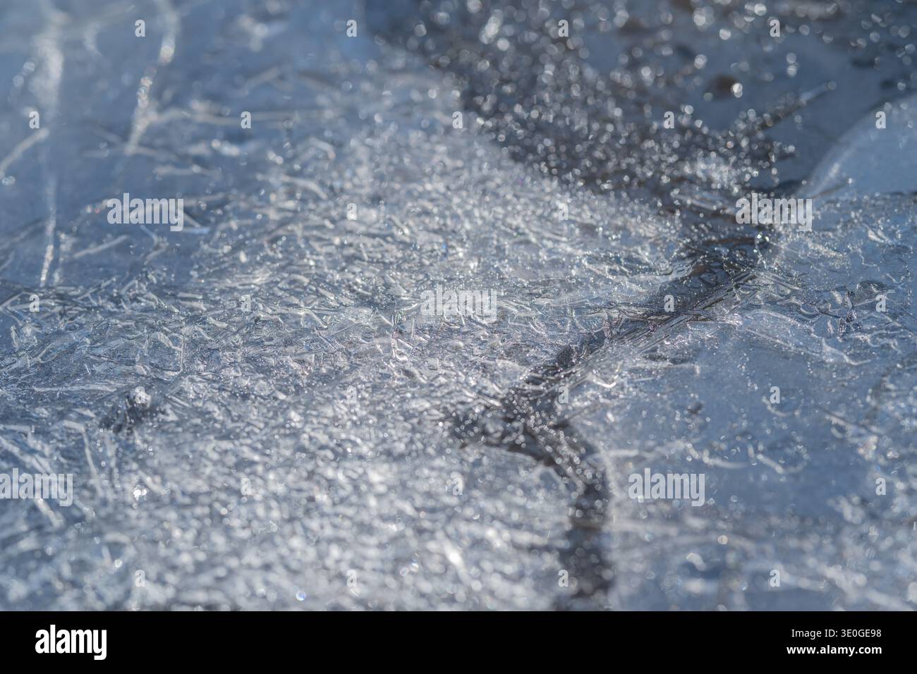 Gel printanier avec microstructures chatoyantes. Microsphères congelées sous une surface glacée brillante. Toiles de cristal délicates dans une atmosphère glacée bleu froid au printemps Banque D'Images